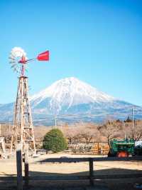 まかいの牧場