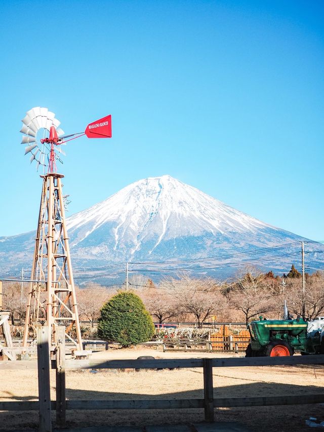 まかいの牧場