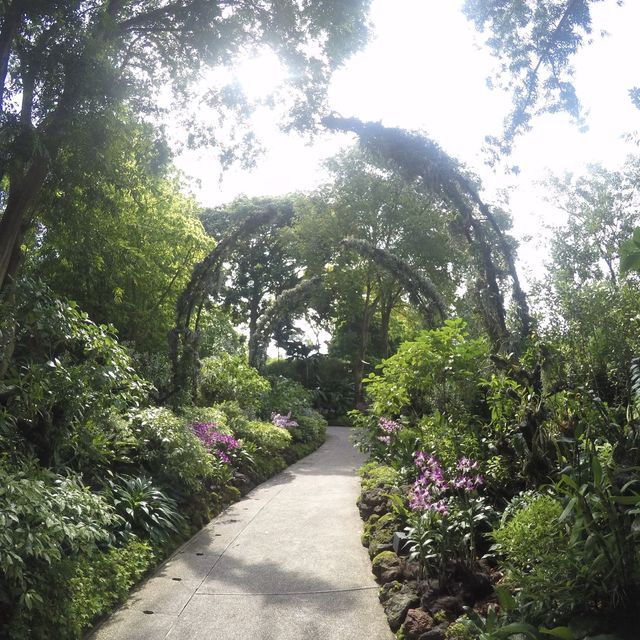 Communing w/ nature @ Nat’l Orchid Garden