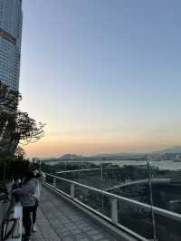 超遼闊日落打卡位 - 中環IFC 商場天台花園🦄