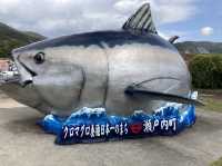 【鹿児島】海に山に！自然を体感できる奄美大島