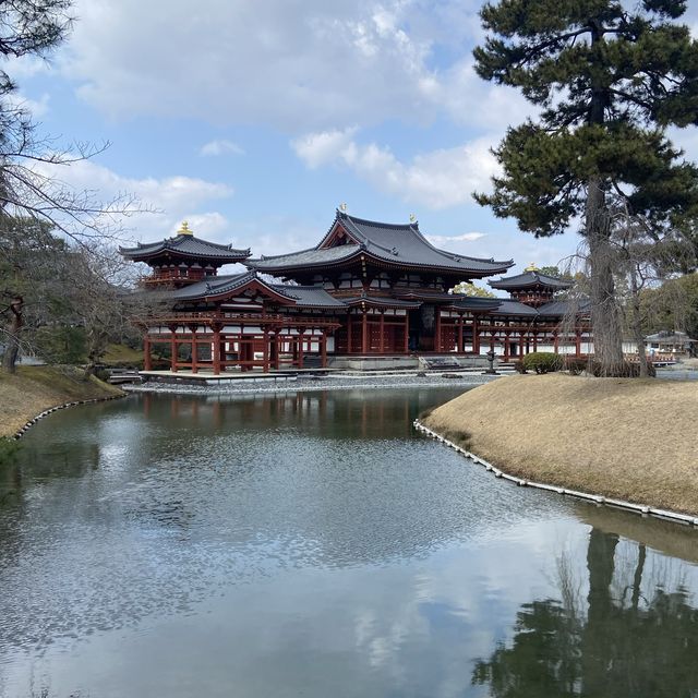 【京都旅行の醍醐味！】京都で人気観光スポットを巡ってきた