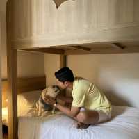 ที่พักน้องหมานอนได้ Ibis Hotel