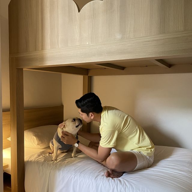 ที่พักน้องหมานอนได้ Ibis Hotel