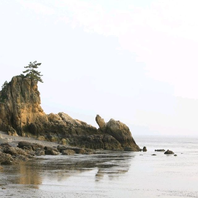 영광 백수해안