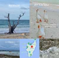 รีวิวเกาะล้านฉบับคนมีเวลาน้อย🌊🏝 #20ชั่วโมงบนเกาะ