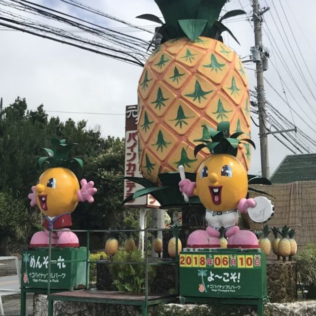 名護菠蘿🍍園😌體驗種植菠蘿🍍之類