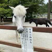気の流れが一気に変わります。