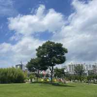 울산꽃구경은 태화강국가정원이랍니다🌻🌻
