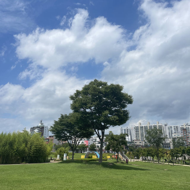 울산꽃구경은 태화강국가정원이랍니다🌻🌻