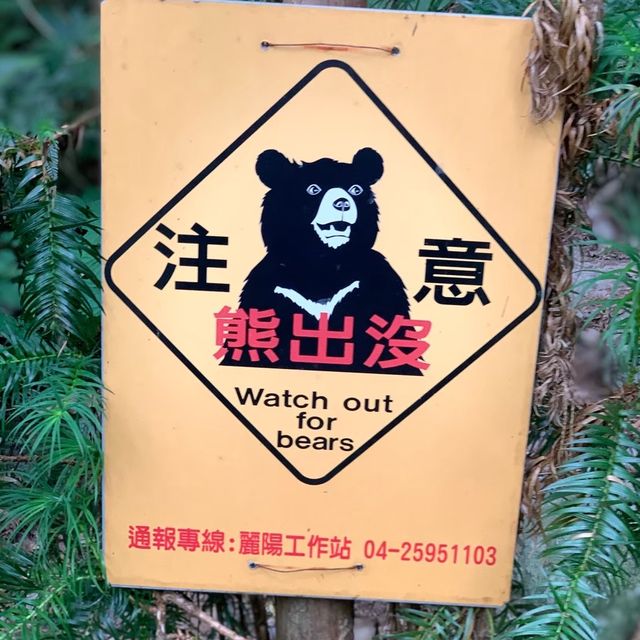 谷關七雄-八仙山