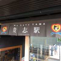 🐱 🚊 同時滿足鐵路迷和貓奴 — 貴志駅