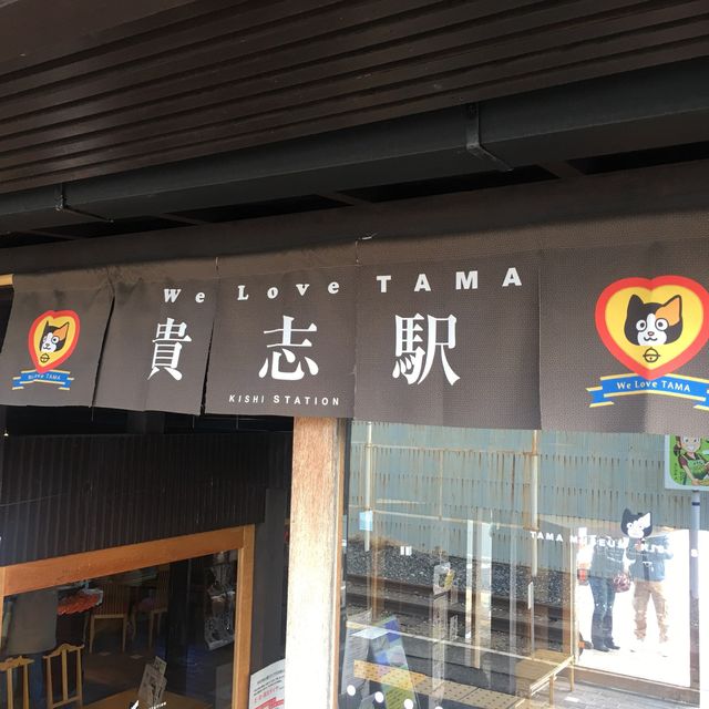 🐱 🚊 同時滿足鐵路迷和貓奴 — 貴志駅