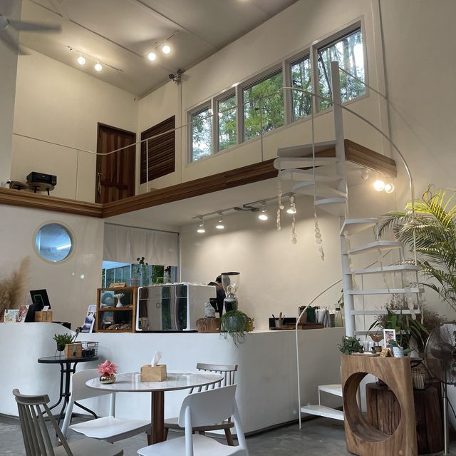บ้านในหมง .. tree house ระนอง🪴