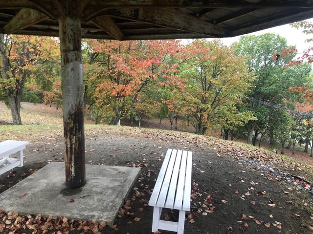 【遠軽】早秋を楽しめる！太陽の丘えんがる公園をご紹介