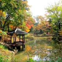 Autumn @Gyeongbokgung Palace 