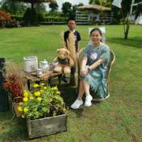 บรรยากาศชิลกับวิวทุ่งนา@Montreux café and farm