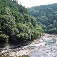 大阪近郊人氣嵐山❤️大片竹林打卡位😉