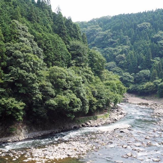 大阪近郊人氣嵐山❤️大片竹林打卡位😉