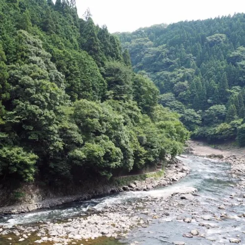 大阪近郊人氣嵐山❤️大片竹林打卡位😉