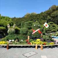 兵庫県！明石の菊花展覧会は素晴らしい