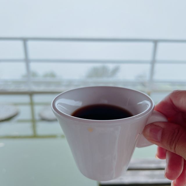 雲海景觀-雲霧飄飄