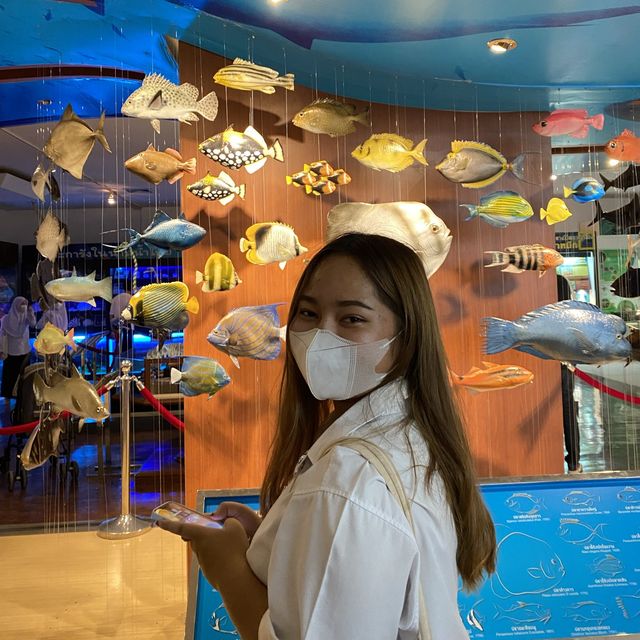 กำเงิน20฿ เดินเล่นที่มิวเซียม หาดใหญ่