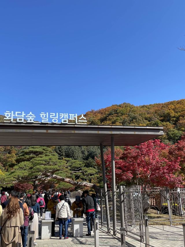 곤지암 단풍여행 :: 화담숲🍁