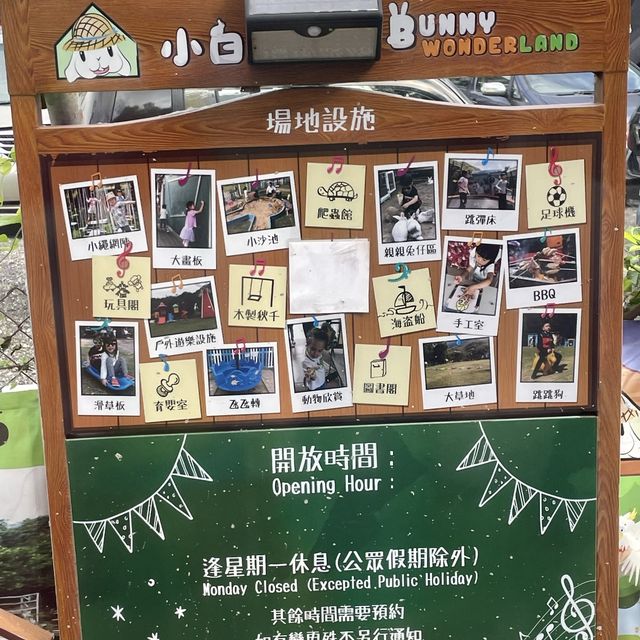 聖誕有乜好節目?等我哋豬事家族,介紹小白兔農莊上集 聖誕有乜好節目?等我哋豬事家族,介紹小白兔農莊上集