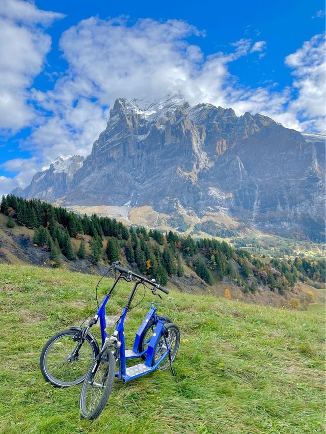 길에서 소🐮랑 인생샷 찍을 수 있는 트로티바이크🚲💙 