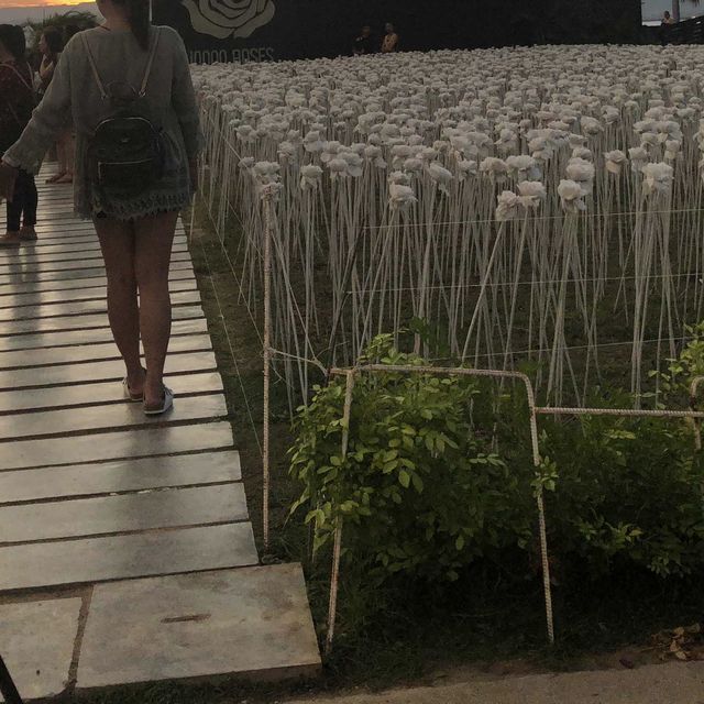 10,000 Roses Cafe in Cordova, Cebu