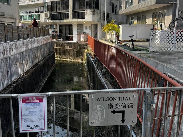 井欄樹村隱世親子活動、燒烤、紮營