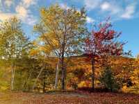 Fall Colors - New England, USA