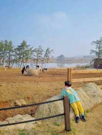 고창의 필수 방문코스 상하농원