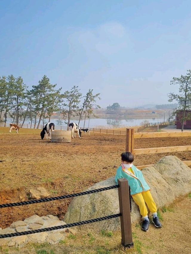 고창의 필수 방문코스 상하농원