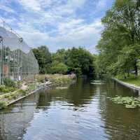 Amazing stay in Amsterdam