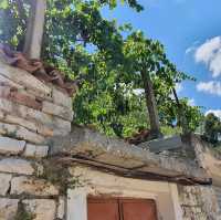 Grapes, flowers, olives and figs in Berat!