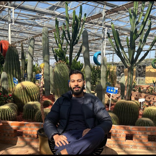 Amazing Cacti 🌵 and flowers 🌺 in Shanghai.