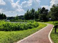 Oh so green! Yueshan Lake, Jinyang, Guiyang 