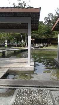 HOT SPRINGS & NASI LEMAK IN BATANG KALI!