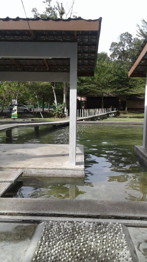 HOT SPRINGS & NASI LEMAK IN BATANG KALI!