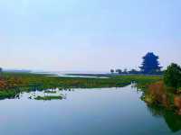 Suzhou's thousand-year-old temple, why did it voluntarily withdraw from the 4A-level scenic spot?