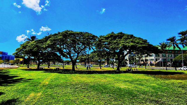 Oahu Island scenery