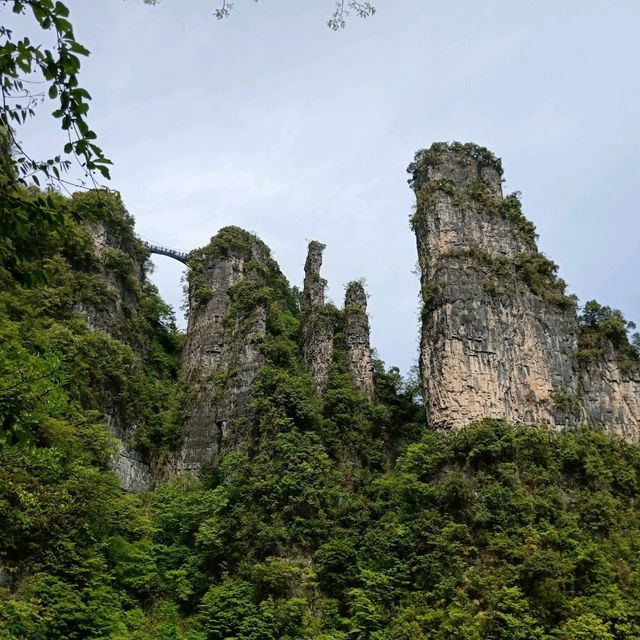 Hubei Yichang Wufeng Tujia Autonomous County Chaibuxi | Chabuxi, a picturesque canyon with three thousand peculiar peaks