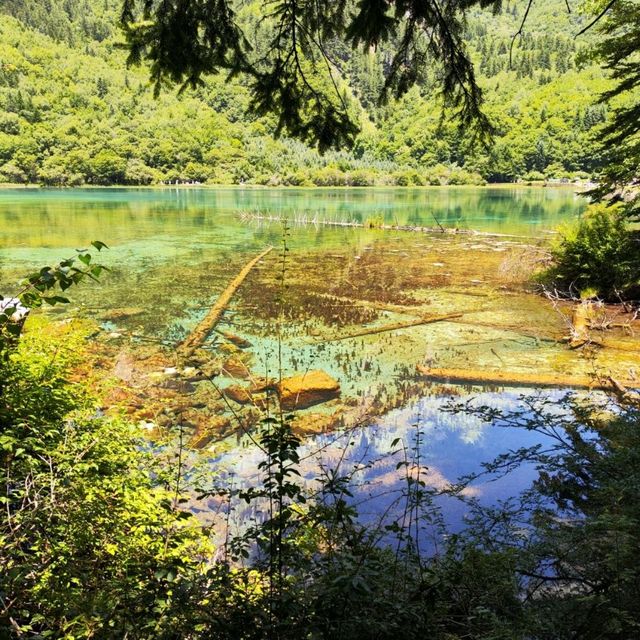 Lakes EVERY shade of blue and turquoise!!