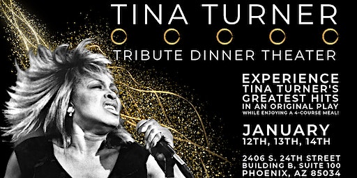 Love Don't Got Sh!t To Do With It! - Tina Turner Tribute Dinner Theater | STUDIO 24