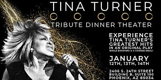 Love Don't Got Sh!t To Do With It! - Tina Turner Tribute Dinner Theater | STUDIO 24