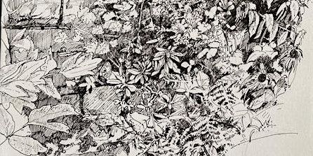Forest Garden Spring Drawing Retreat | High Dalby House and Cottages
