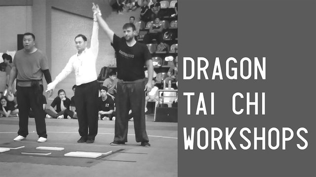 Dragon Tai Chi Workshops: Martial Form and Function | Phinney Ridge