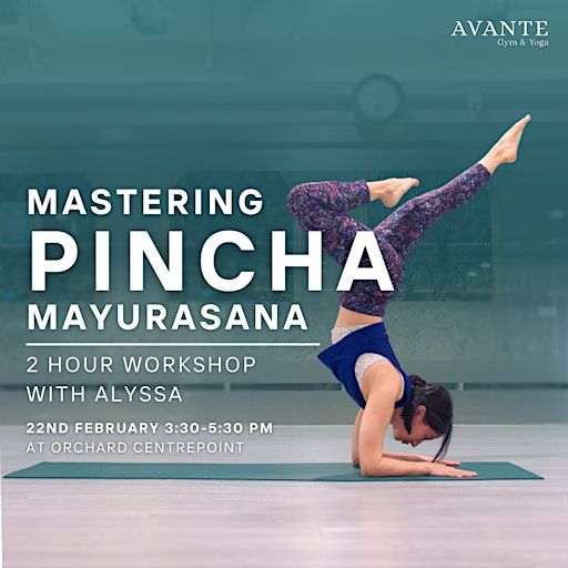 Mastering Pincha Mayurasana with Alyssa | Avante Gym & Yoga